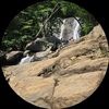 afoxonthemove